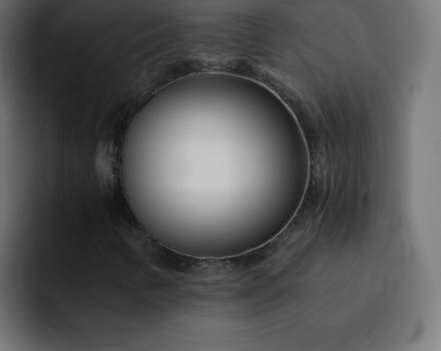 X0000093121346200710031326