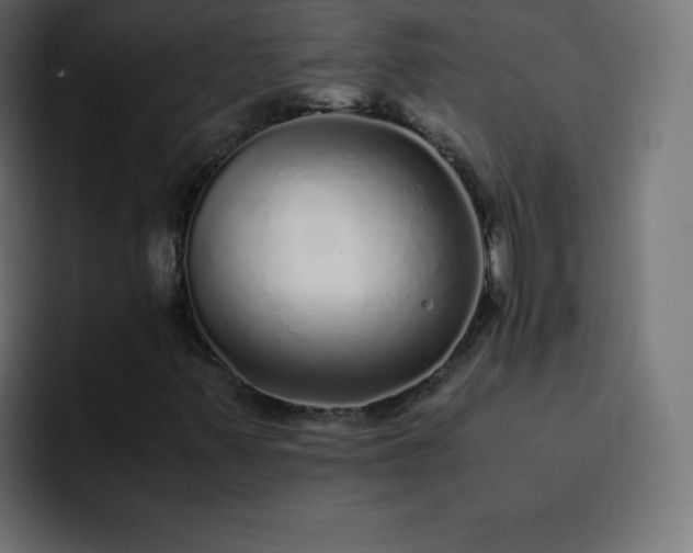 X0000093121347200710031326