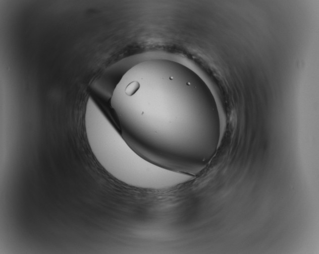 X0000093121348200710031326