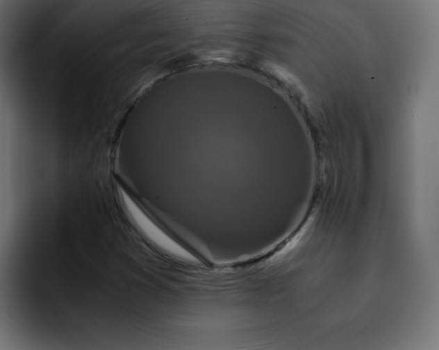 X0000093121353200710031326