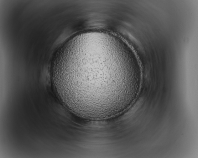 X0000093121354200710031326