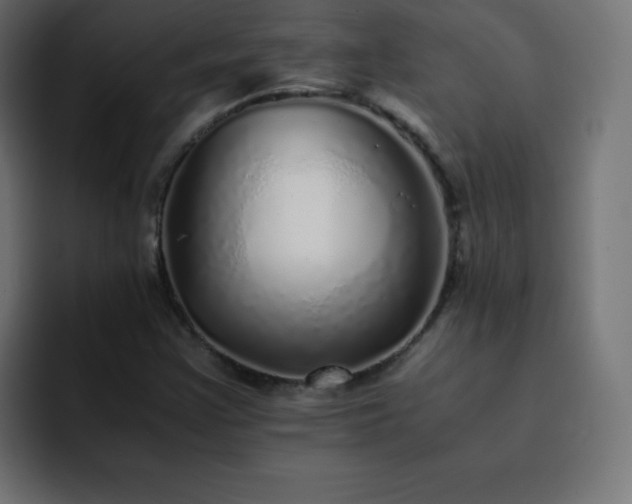 X0000093121355200710031326