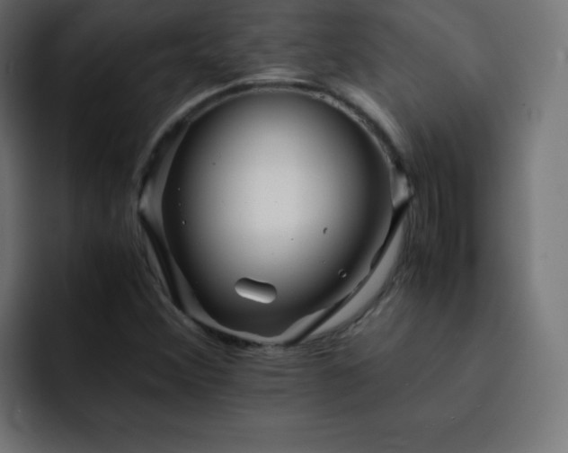 X0000093121356200710031326