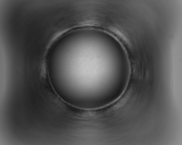 X0000093121358200710031326