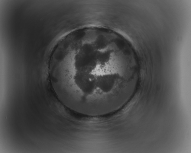 X0000093121359200710031326