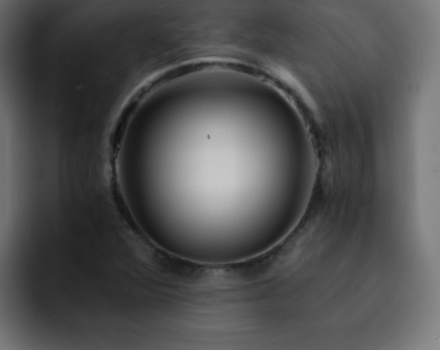 X0000093121360200710031326