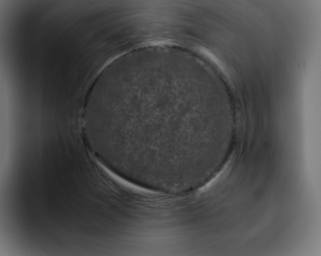 X0000093121361200710031326