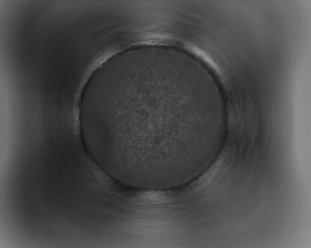 X0000093121362200710031326