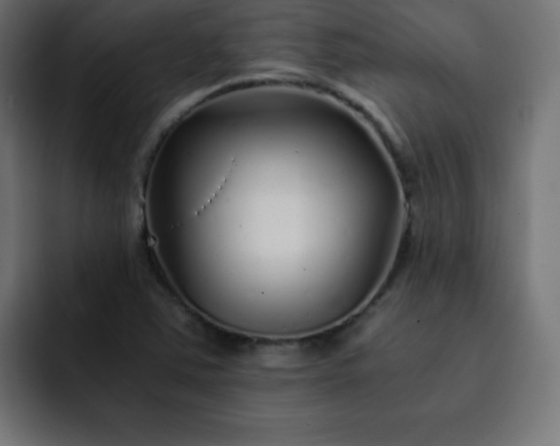 X0000093121363200710031326