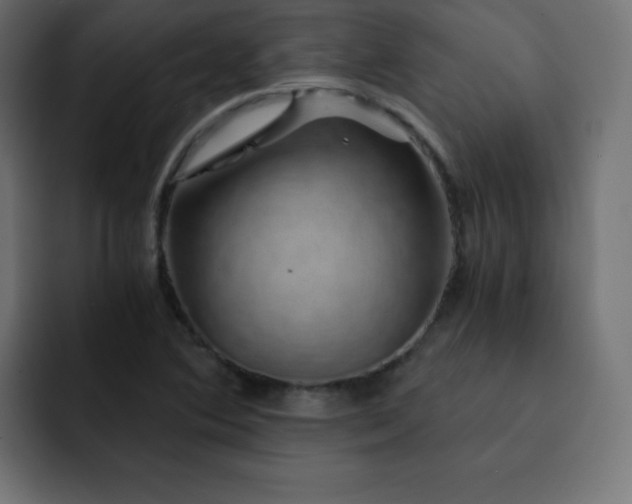 X0000093121364200710031326