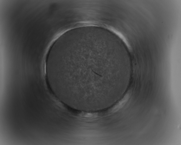 X0000093121365200710031326