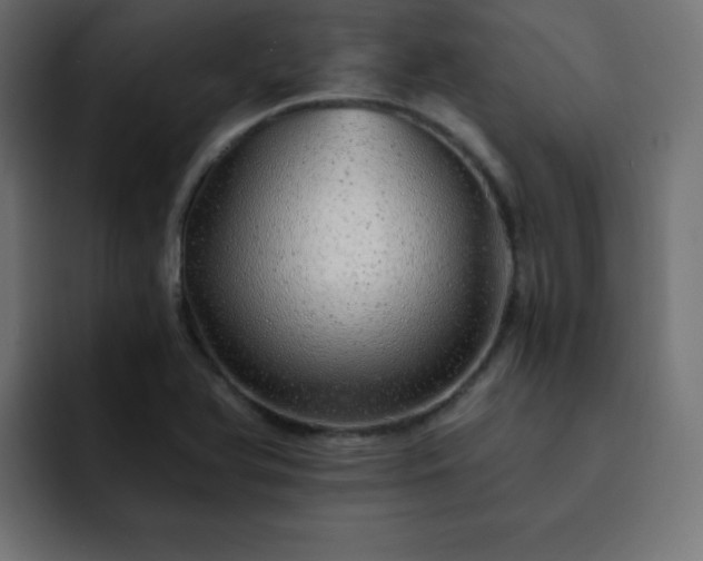 X0000093121366200710031326