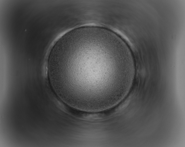 X0000093121367200710031326