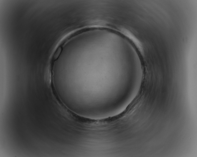 X0000093121368200710031326