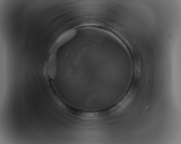 X0000093121369200710031326