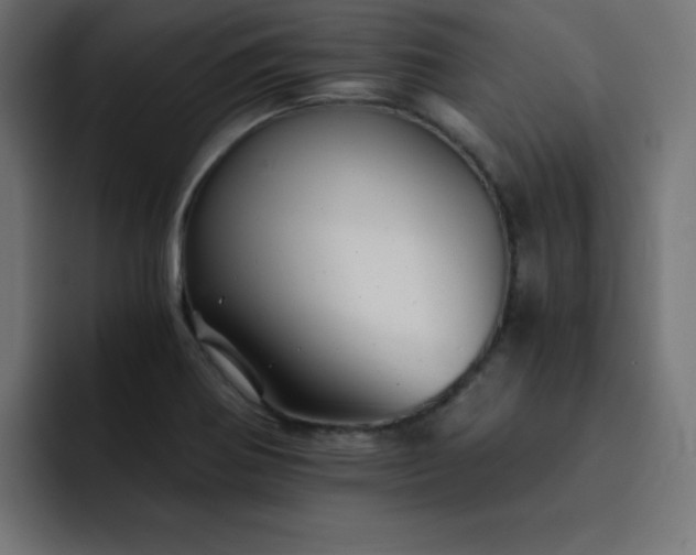X0000093121370200710031326