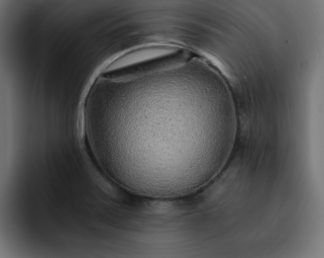 X0000093121371200710031326