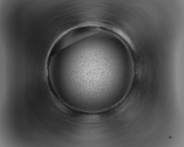 X0000093121372200710031326