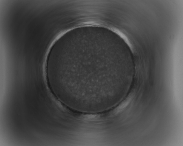 X0000093121373200710031326