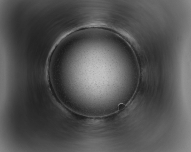 X0000093121374200710031326