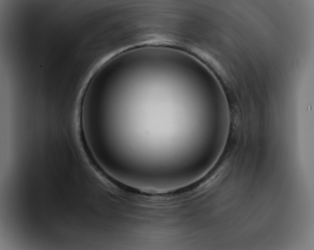 X0000093121375200710031326