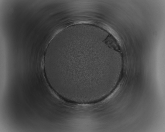 X0000093121377200710031326