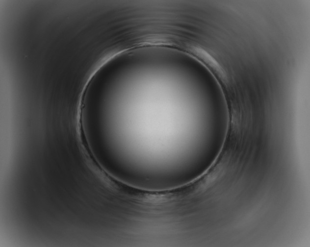 X0000093121378200710031326