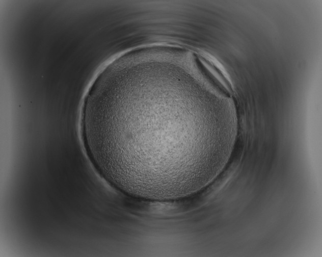 X0000093121379200710031326