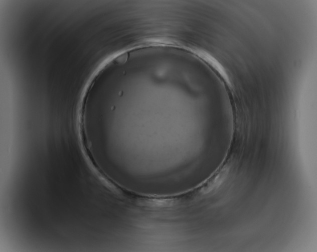 X0000093121381200710031326