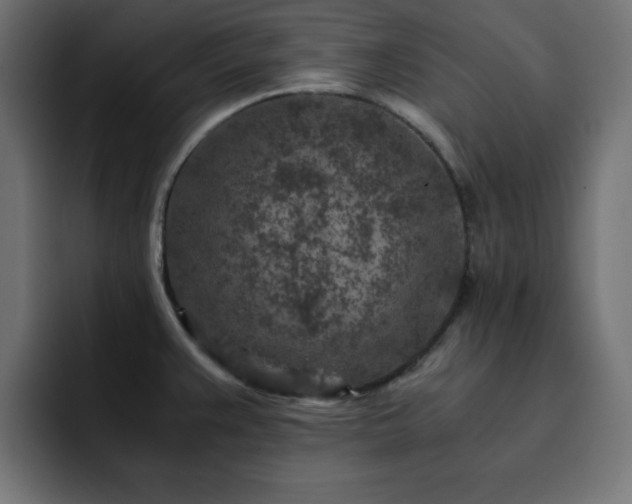 X0000093121383200710031326