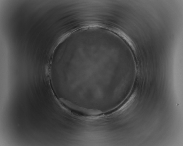 X0000093121385200710031326