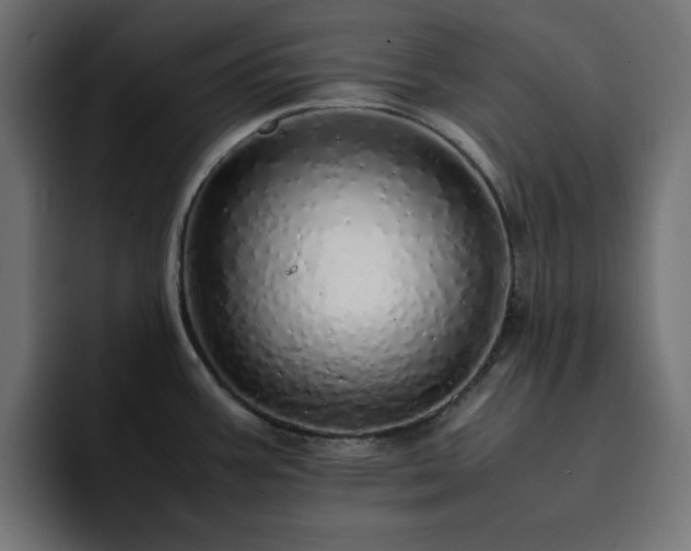X0000093121387200710031326