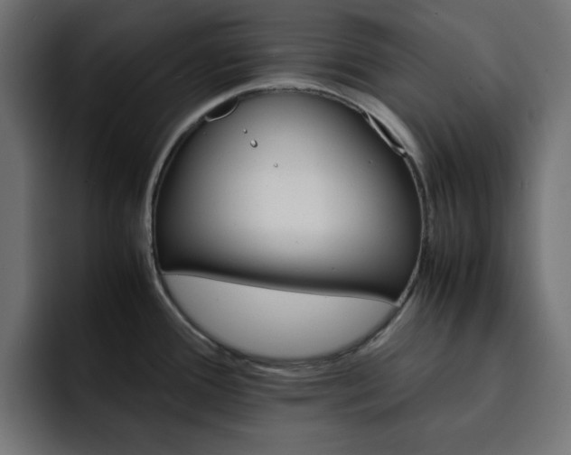 X0000093121388200710031326