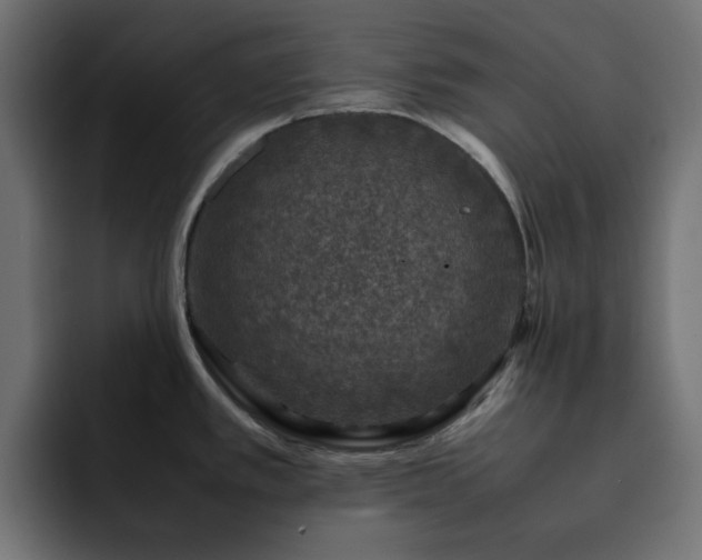 X0000093121389200710031326