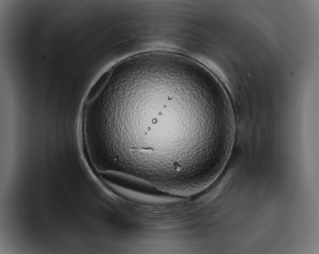 X0000093121391200710031326