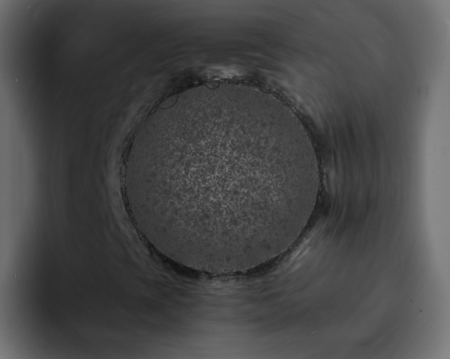 X0000093121393200710031325