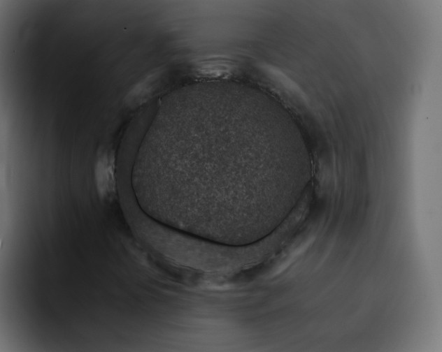 X0000093121394200710031325