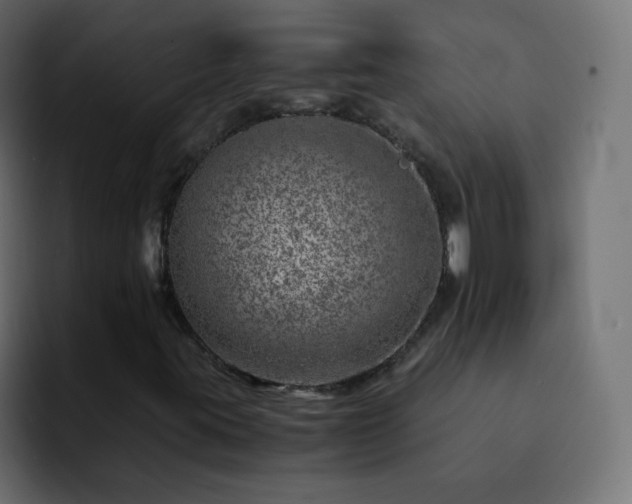 X0000093121395200710031325