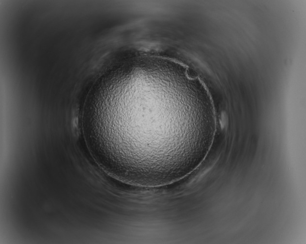 X0000093121396200710031325