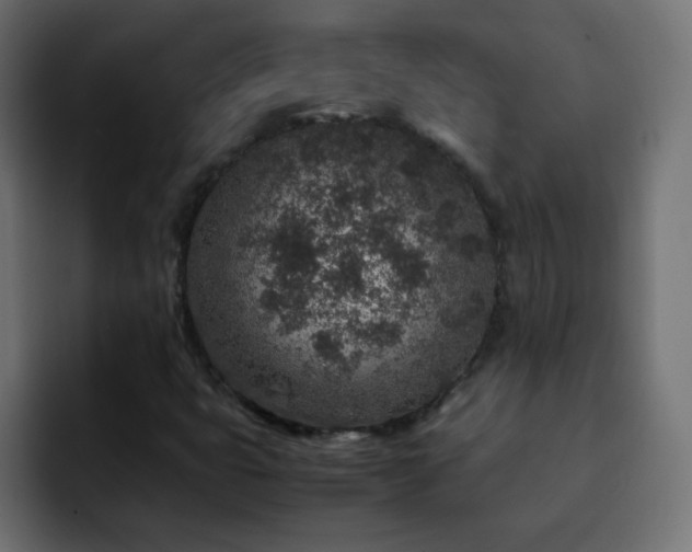 X0000093121399200710031325