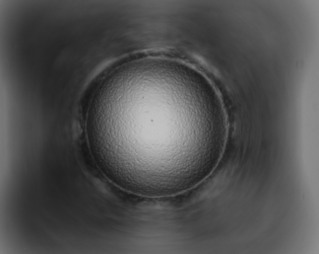 X0000093121400200710031325