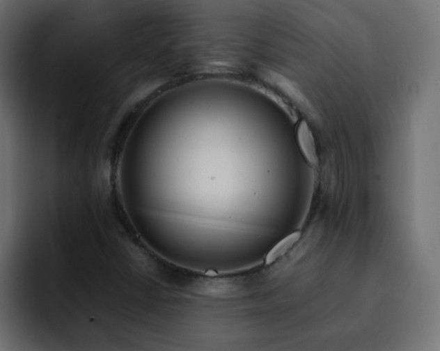 X0000093121402200710031325
