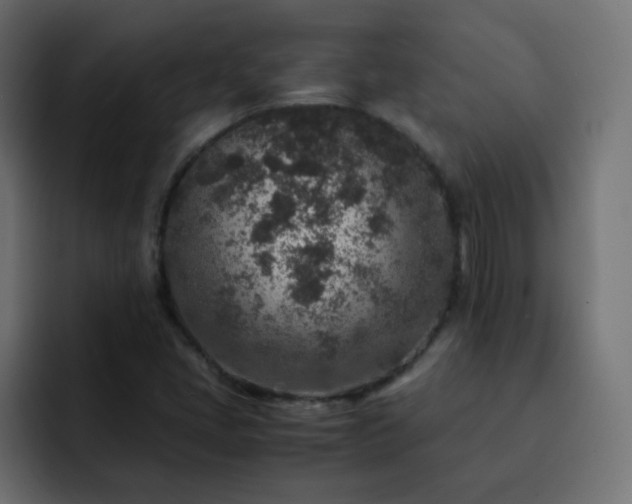 X0000093121405200710031326