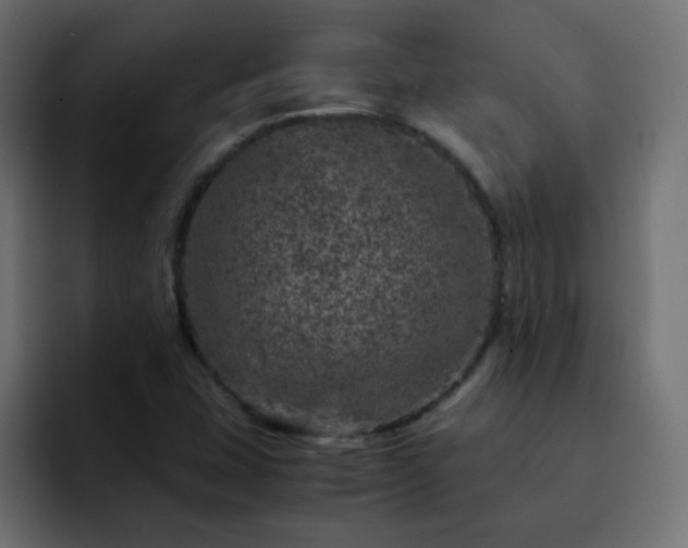 X0000093121407200710031326