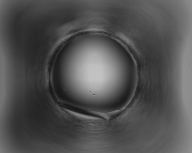 X0000093121408200710031326