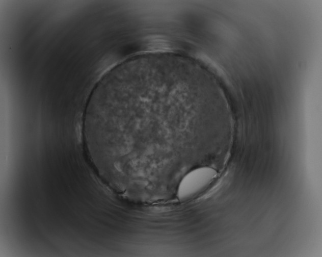 X0000093121409200710031326