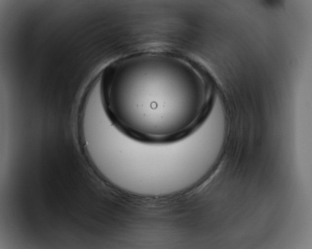 X0000093121410200710031326
