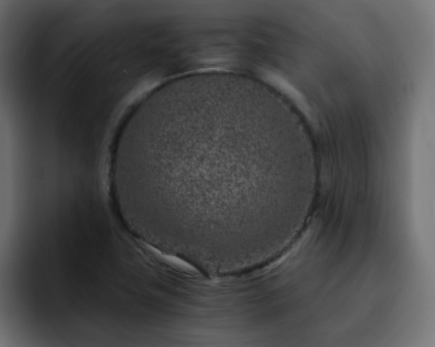 X0000093121411200710031326
