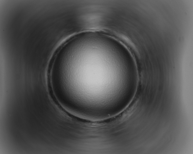 X0000093121412200710031326