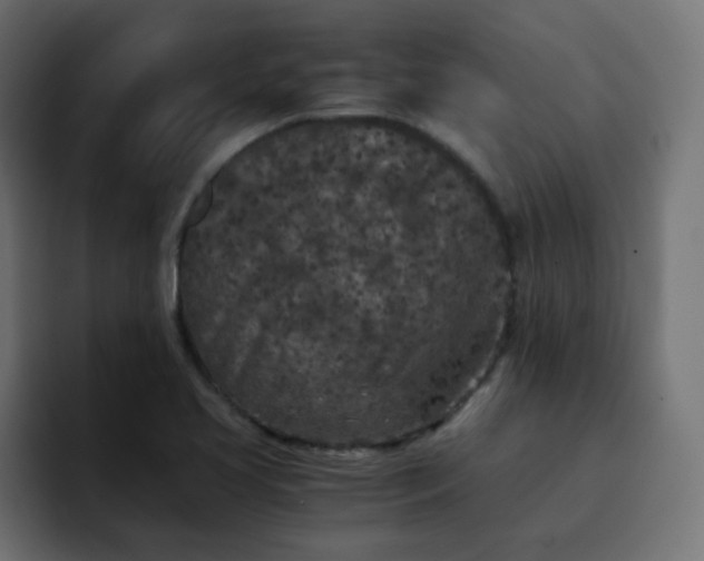 X0000093121413200710031326